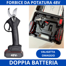 Forbice batteria potatura usato  Palermo