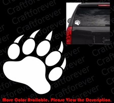 California black bear for sale  Elk Grove