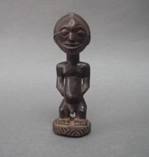 Good small african for sale  SHREWSBURY