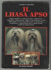 Lhasa apso c. usato  Diano San Pietro
