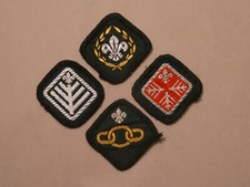 Chief scout award for sale  NORTHAMPTON