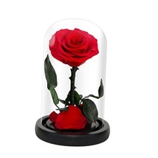 Natroses mothers day for sale  Miami