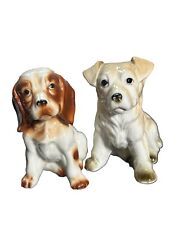Sitting dogs puppies for sale  SAFFRON WALDEN