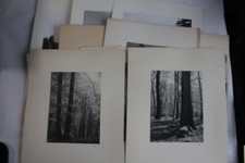 Art photographs landscapes d'occasion  Expédié en Belgium