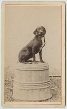 Cdv 1870 80. d'occasion  Montargis