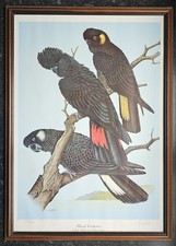 Eric peake black for sale  LOCHGILPHEAD