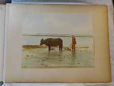 Rare watercolor photo for sale  Honolulu