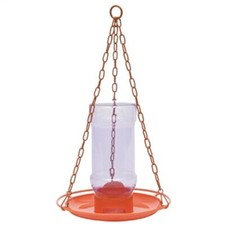 Perky pet oriole for sale  USA