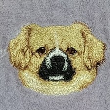 Tibetan spaniel dog for sale  Golden Valley