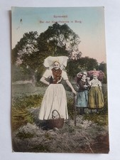 Ansichtskarte burg spreewald gebraucht kaufen  Fürstenwalde/Spree