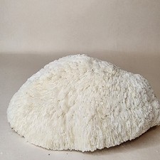 Natural white bowl for sale Natural white bowl for sale  Rochester