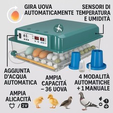 Incubatrice per uova usato  Rodi Garganico