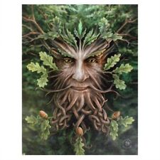 Oak king green for sale  GILLINGHAM