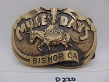 Vintage belt buckle for sale  Gordonville