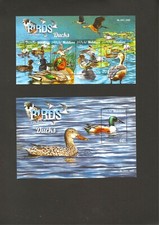 Malediven 2015 vögel gebraucht kaufen  Dresden
