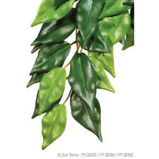 Exo terra silk for sale  Taunton