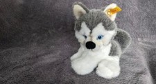 Steiff husky pummy gebraucht kaufen  Rehburg-Loccum