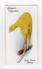Aviary cage bird d'occasion  Expédié en Belgium