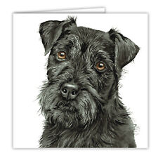 Patterdale terrier greetings for sale  RICHMOND
