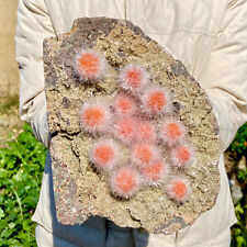 Esemplare minerale grappolo usato Esemplare minerale grappolo usato  Spedire a Italy