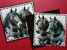 Choice horse pony for sale  NEWARK