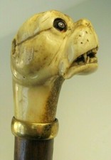 Antiker spazierstock bulldogge gebraucht kaufen Antiker spazierstock bulldogge gebraucht kaufen  Plauen
