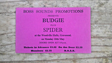 Budgie spider live for sale  FOLKESTONE