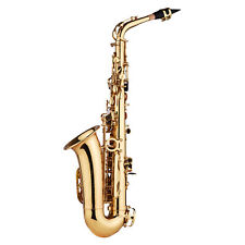 Saxophon sax alto gebraucht kaufen  Deutschland