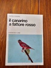 Canarino fattore rosso. usato  Quartu Sant Elena