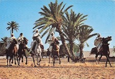 Tunisie fantasia d'occasion  France
