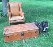 Antique louis vuitton for sale  Caledonia