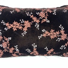 Bella notte raisin for sale  Brooks