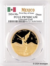 2024 mexico libertad for sale  Austin