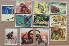 Serie figurine animali usato  Foggia