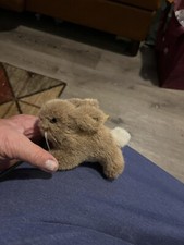 Vintage steiff bunny for sale  Hope