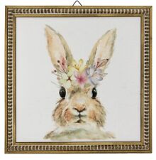 Square 15.8 bunny for sale  Petersburg