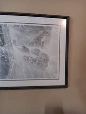 Robert bateman curled for sale  Hazel