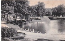 Postcard lake scene for sale  Collegeville