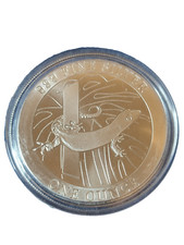 Dollar niue 2021 d'occasion  Ris-Orangis