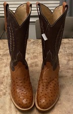 Cowtown ostrich western for sale  Mount Juliet