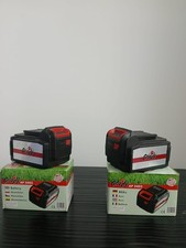 Grizzly akkus 2403 gebraucht kaufen  Ransbach-Baumbach