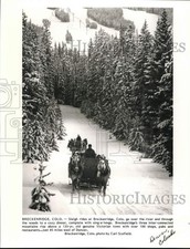Press photo sleigh for sale  Memphis