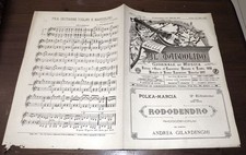 Mandolino del 1899 usato  Settimo Torinese