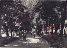 Cart. lazio roma usato Cart. lazio roma usato  Italia