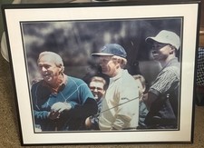 Framed photo tiger for sale  Clarkston