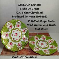 Royal cauldon england for sale  Loveland