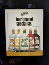 Mcgillicuddy options schnapps for sale  Columbus