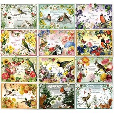 Edition tausendschön postkart gebraucht kaufen  Windeck