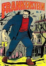 Frankenstein 2 gebraucht kaufen  Fürth