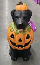 Black lab halloween for sale  Melbourne